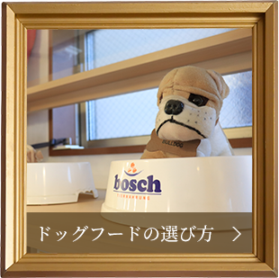 ドッグフードの選び方